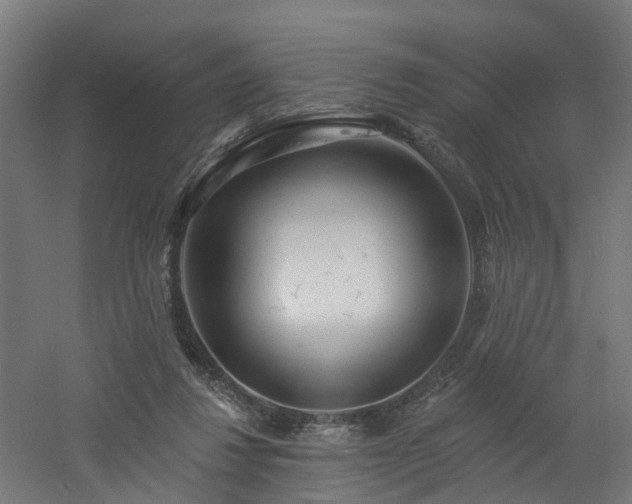 X0000060760260200511101148