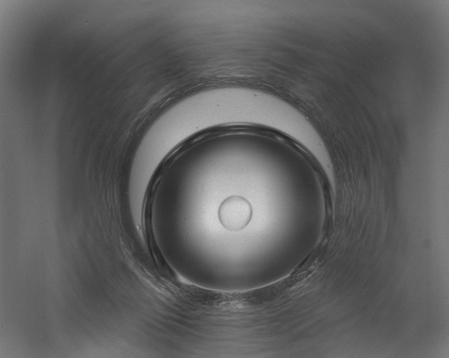 X0000060760262200511101148