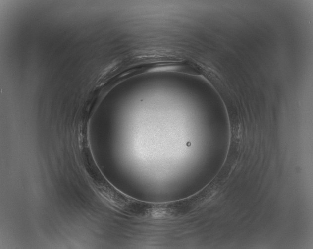 X0000060760264200511101148