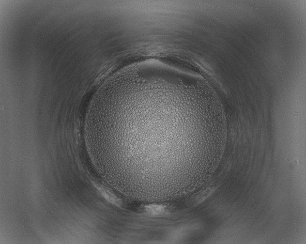 X0000060760265200511101148