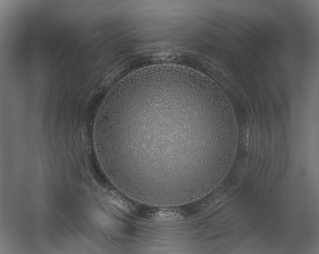 X0000060760270200511101148