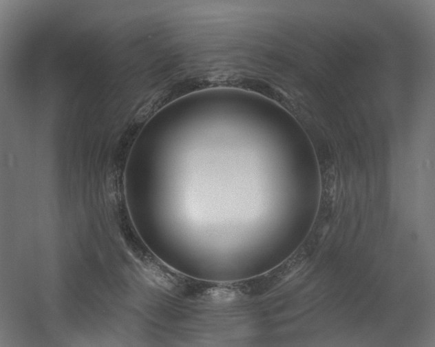 X0000060760272200511101148