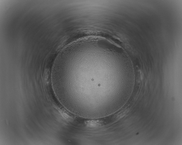 X0000060760273200511101148