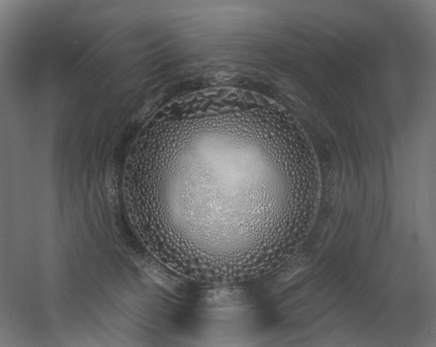 X0000060760274200511101148