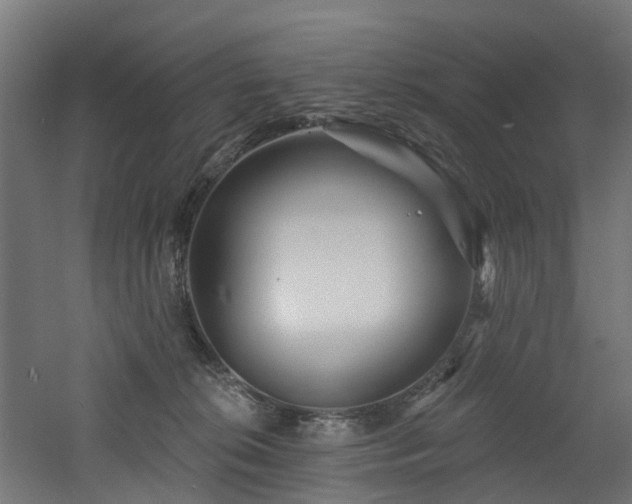 X0000060760276200511101148