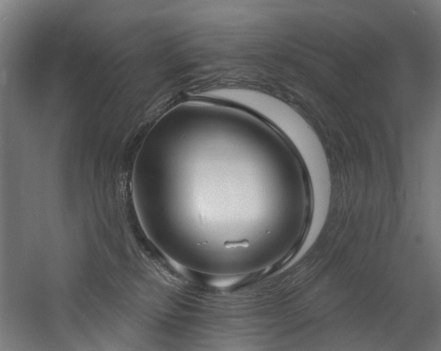 X0000060760278200511101148