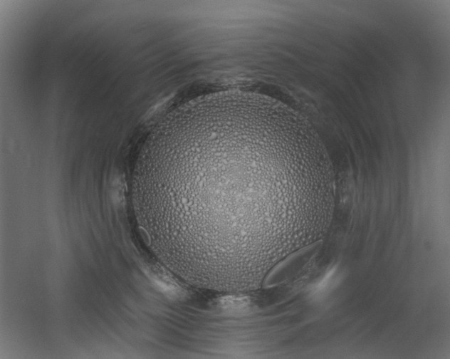 X0000060760279200511101148