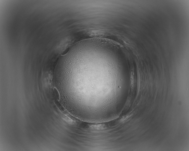 X0000060760281200511101148