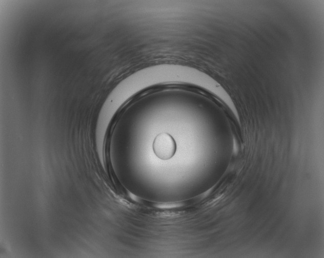 X0000060760287200511101148