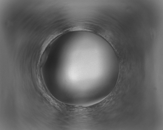 X0000060760289200511101147