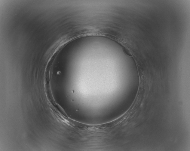 X0000060760290200511101147