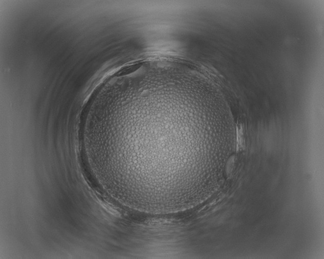 X0000060760291200511101147