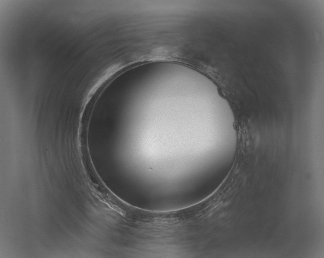 X0000060760292200511101147