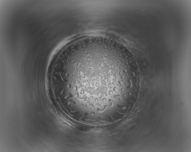 X0000060760294200511101147