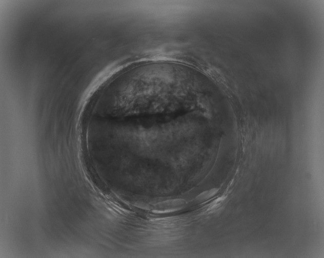 X0000060760295200511101147