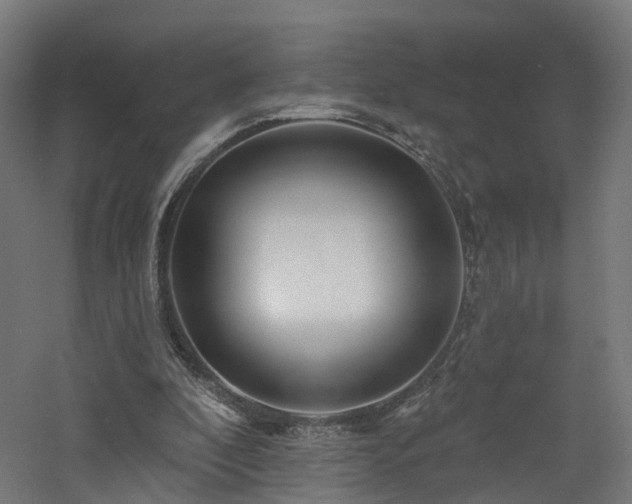 X0000060760296200511101147