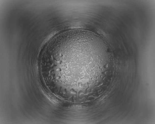 X0000060760298200511101147