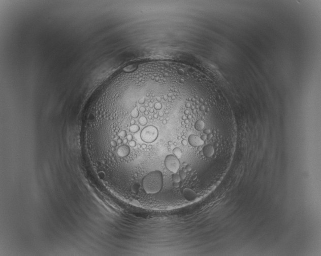 X0000060760299200511101147