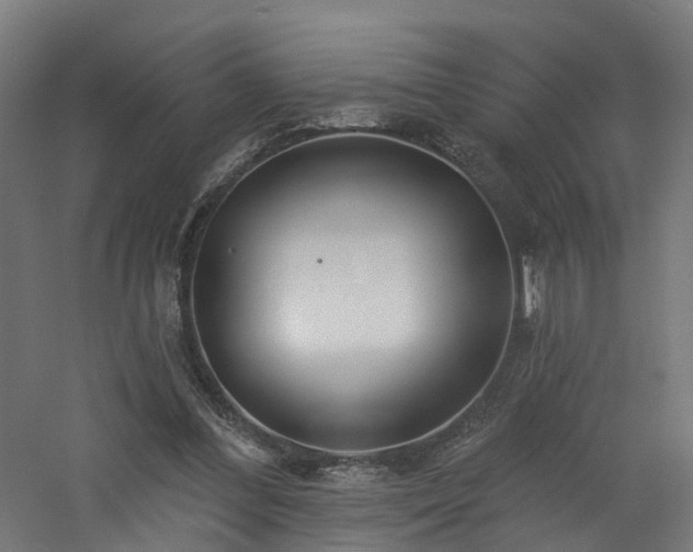 X0000060760300200511101147