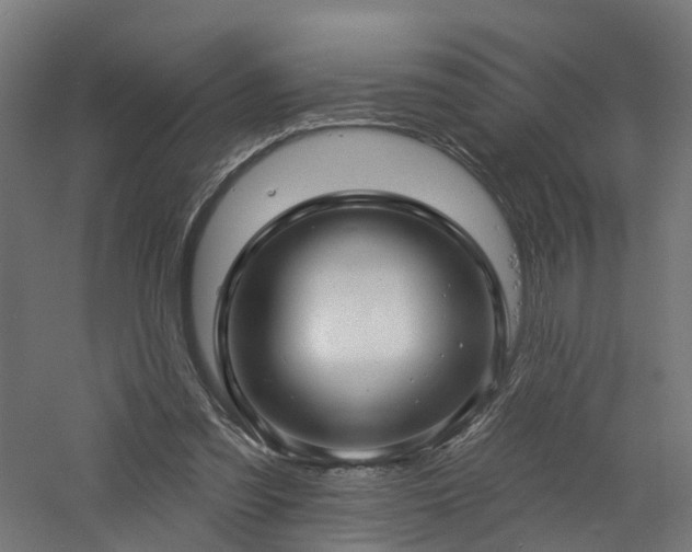 X0000060760301200511101147