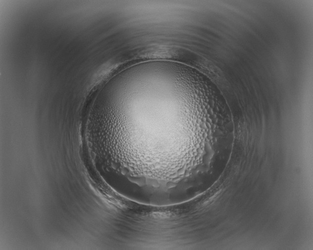 X0000060760302200511101147