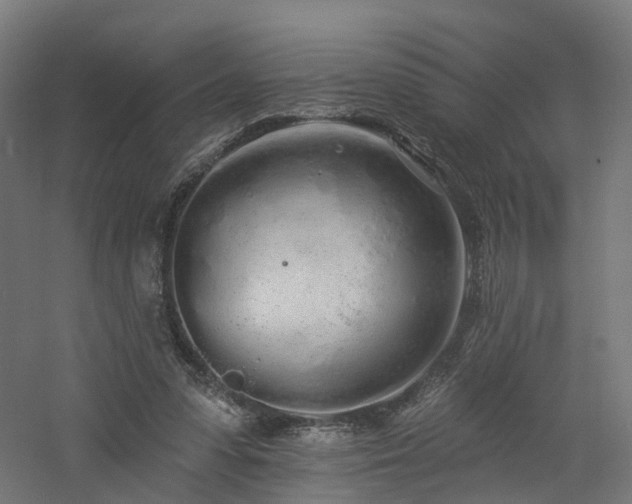 X0000060760303200511101147