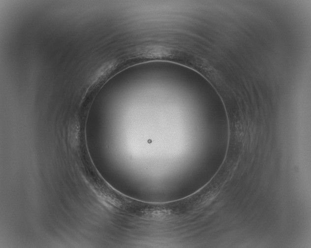 X0000060760304200511101147