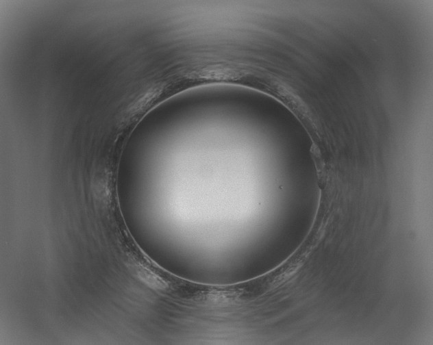 X0000060760305200511101147