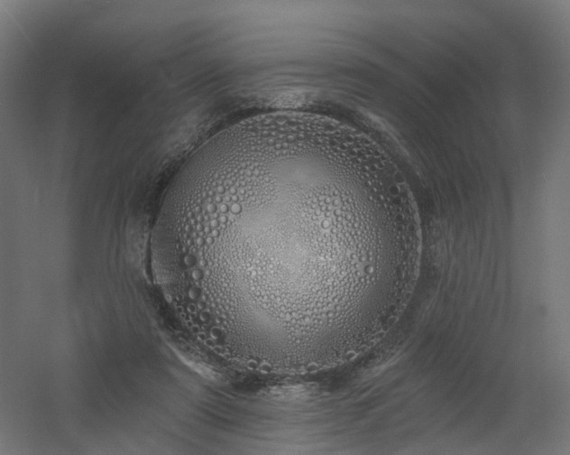 X0000060760307200511101147