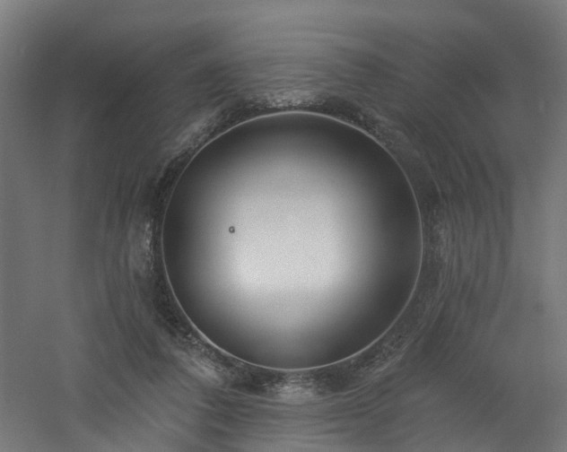 X0000060760308200511101147