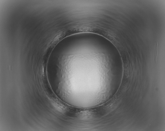 X0000060760310200511101147