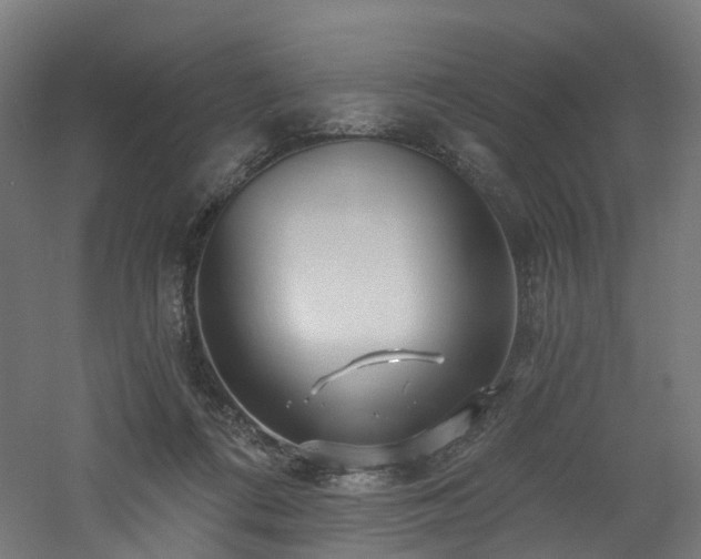 X0000060760312200511101147