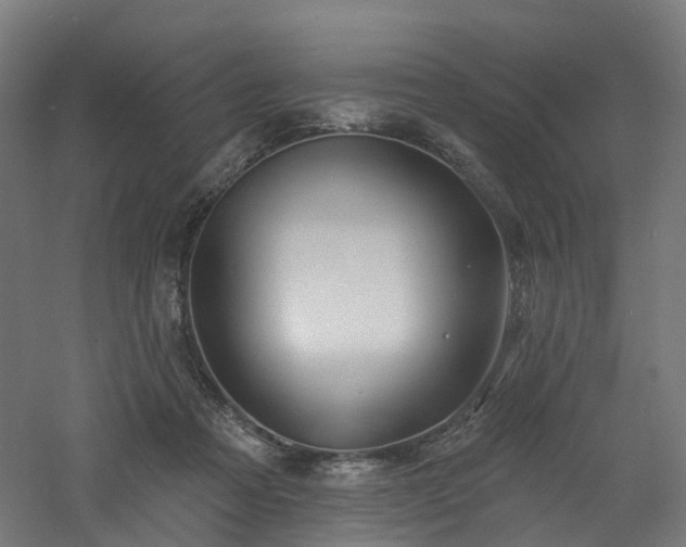 X0000060760313200511101147