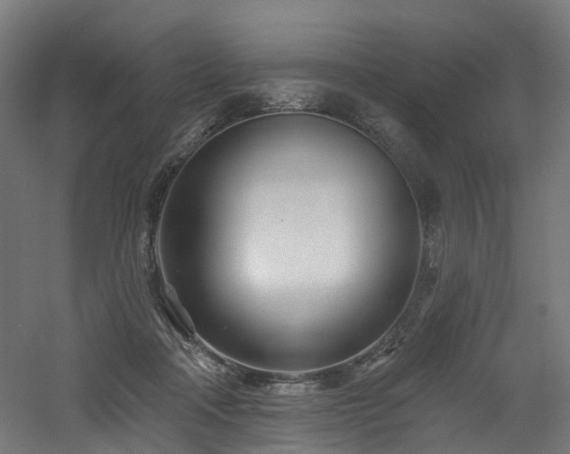 X0000060760314200511101147