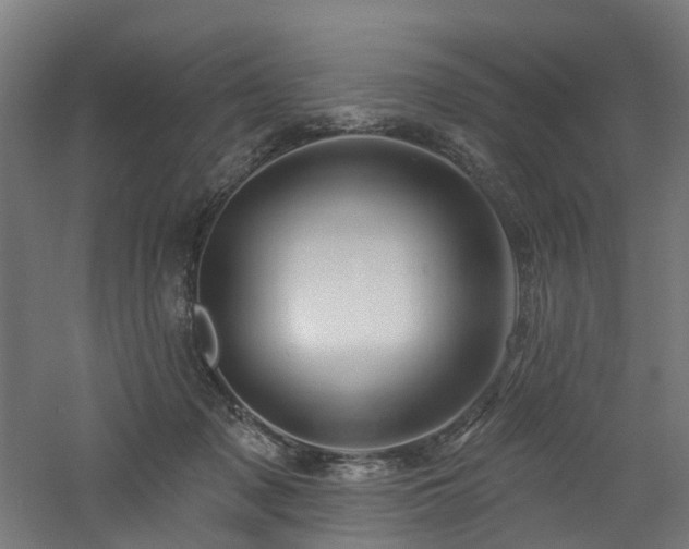 X0000060760317200511101147