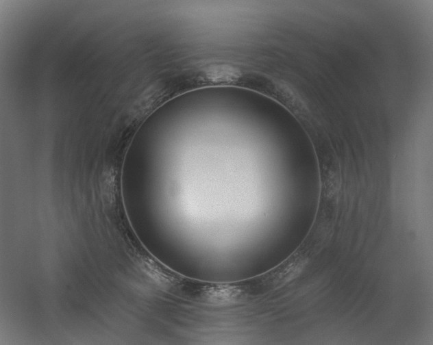 X0000060760321200511101147