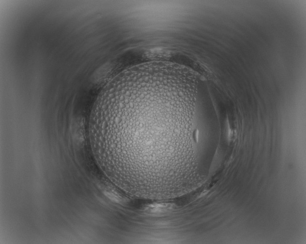 X0000060760323200511101147