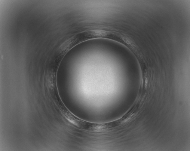 X0000060760325200511101147