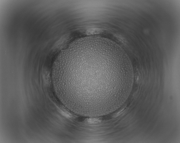 X0000060760327200511101147