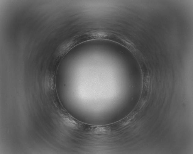 X0000060760330200511101147