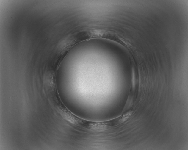 X0000060760331200511101147