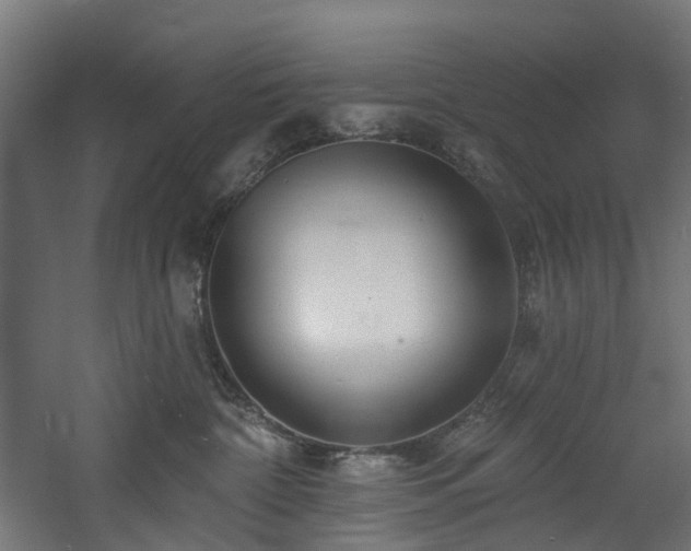 X0000060760332200511101147