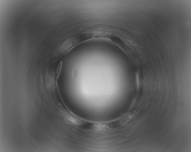 X0000060760333200511101146