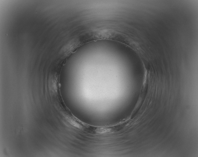 X0000060760334200511101146