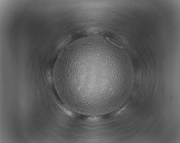 X0000060760335200511101146