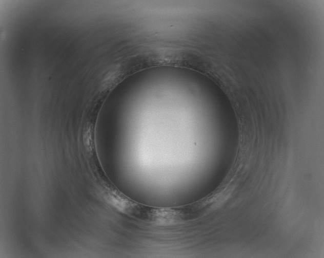 X0000060760336200511101146