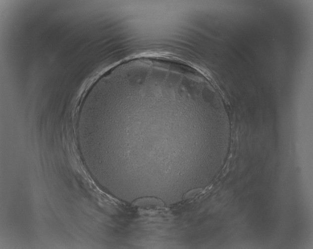 X0000060760337200511101146