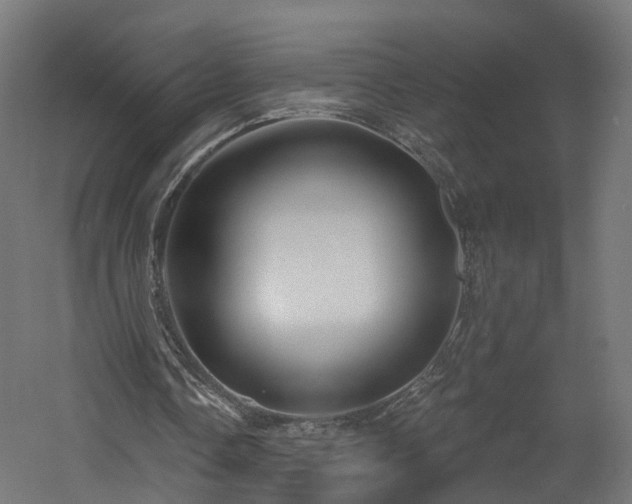 X0000060760338200511101146