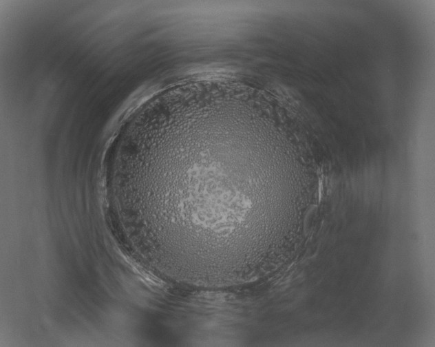 X0000060760339200511101146