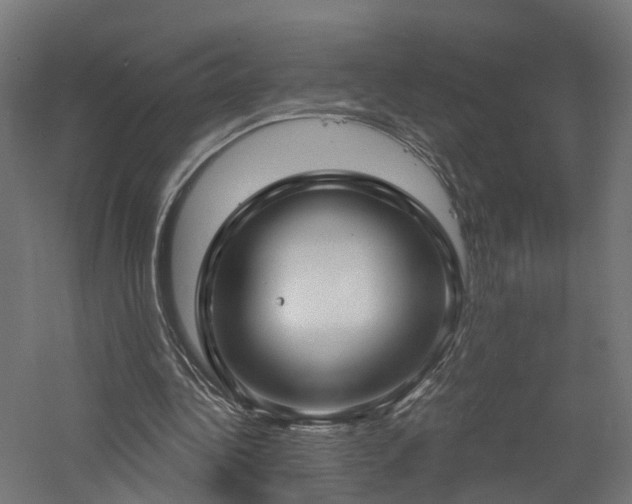 X0000060760340200511101146